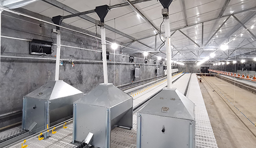 南通正大东凌18万套肉种鸡项目